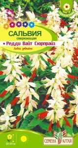 Сальвия Редди Вайт Сюрпрайз сверкающая 5шт Одн 25см (Сем Алт)