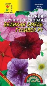 Петуния Великан Гулливер смесь F1 крупноцветковая 10шт Одн 25см (Цвет сад)