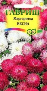 Маргаритка Весна 0,05г Дв смесь 12см (Гавриш)