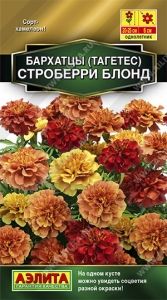 Бархатцы (Тагетес) откл. Строберри блонд 5шт 20-25см (Аэлита)