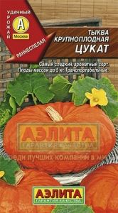 Тыква Цукат крупноплодная 1г Ранн (Аэлита)