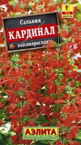 Сальвия Кардинал блестящая 0.1г Одн 70см (Аэлита)