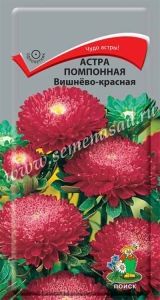 Астра Вишнево-красная помпонная 0,3г Одн 55см (Поиск)