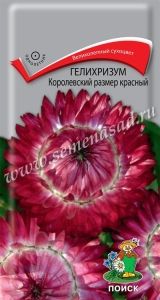 Гелихризум Королевский размер Красный 0,1г Одн 100см (Поиск)