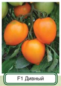 Томат Дивный F1 10шт Дет Ранн (Гисок)