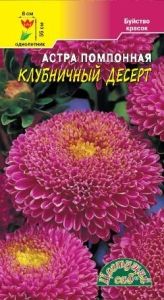 Астра Десерт Клубничный помпонная 0,2г Одн 55см (Цвет сад)