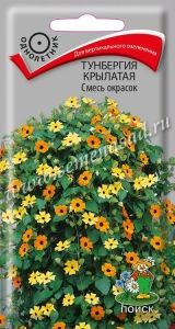 Тунбергия Смесь окрасок крылатая 0,5г Одн 200см (Поиск)