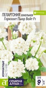 Пеларгония Горизонт Пьюр Вайт зональная 4шт Одн Комн 35см (Сем Алт)