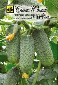 Огурец Беттина F1 10шт Парт Ранн (Семко)