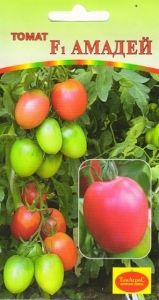 Томат Амадей F1 10шт Индет Ранн (Гисок)