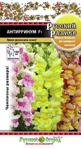 Антирринум Русский Размер F1 15шт Одн смесь 160см (НК)