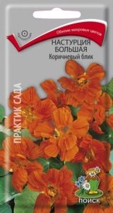 Настурция Коричневый Блик большая 1г Одн 150см (Поиск)
