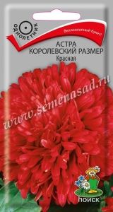 Астра Королевский размер Красная пионовидная 0,1г Одн 100см (Поиск)