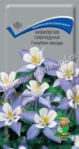 Аквилегия Голубая звезда гибридная 0,05г Мн 70см (Поиск)