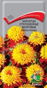 Бархатцы (Тагетес) откл. Желтая головка 0,4г 25см (Поиск)