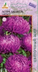 Астра Джавель Аметист игольчато-коготковая 20шт Одн 70см (Агрос)