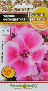 Годеция Русский размер Крупноцветная 100шт Одн 40см (НК)