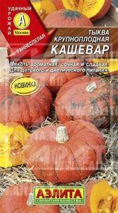 Тыква Кашевар крупноплодная 2г Ранн (Аэлита)