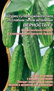 Огурец Верность F1 корнишон 5шт Парт Ранн (УД)