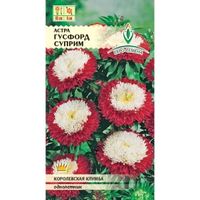 Астра Гусфорд Суприм помпонная 0,2г Одн 60см (Евро-сем)