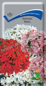 Лихнис Микс 0,1г Мн смесь 90см (Поиск)