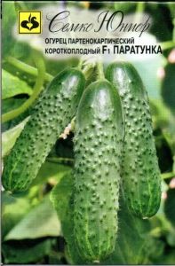 Огурец Паратунка F1 10шт Парт Ранн (Семко)