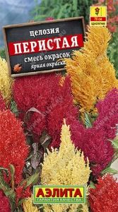 Целозия Перистая Одн смесь 70см (Аэлита)