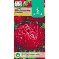 Астра Королевский пион Красный пионовидная 0,3г Одн 80см (Евро-сем)