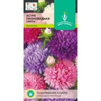Астра Пионовидная 0,3г Одн смесь 70см (Евро-сем)