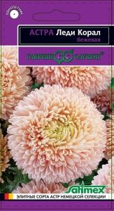 Астра Леди Корал Бежевая розовидная 0,1г Одн 70см (Гавриш) Эксклюзив