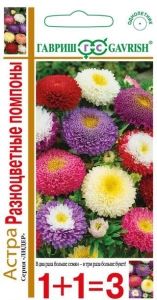 Астра Разноцветные помпоны 0,6г Одн смесь 60см (Гавриш) 1+1
