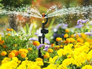 Система дождевания Расцветайка