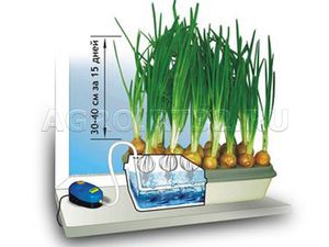 Гидропонная установка / Луковое счастье